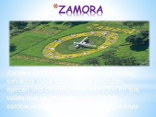 *ZAMORA
Zamora es considerada como un paraíso
selvático, cuya flora y fauna tropicales,
ejercen una deslumbrante atracción en sus
valles que se extienden pasadas las
estribaciones de las cordilleras subandinas
 