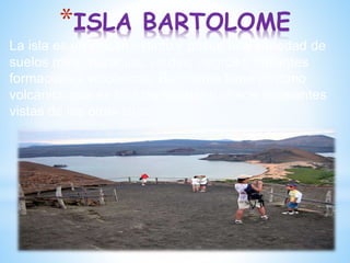 *ISLA BARTOLOME
La isla es un volcán extinto y posee una variedad de
suelos rojos, naranjas, verdes, negros y brillantes
formaciones volcánicas. Bartolomé tiene un cono
volcánico que es fácil de escalar y ofrece excelentes
vistas de las otras islas
 