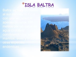 *ISLA BALTRA
Baltra se mira de frente
al sur con Santa Cruz,
con una separación
apenas de unos 150
metros por un canal de
agua cristalina
conviviendo con lobos
marinos, aves y muchas
otras especies
endémicas.
 
