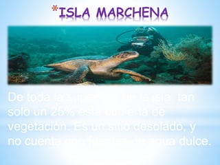 *ISLA MARCHENA
De toda la superficie de la isla, tan
solo un 25% está cubierta de
vegetación. Es un sitio desolado, y
no cuenta con fuentes de agua dulce.
 