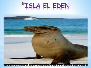 *ISLA EL EDEN
 