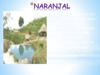 *NARANJAL
El Centro Shuar consta con
una diversidad de animales
exóticos además es
reconocido por sus famosa
aguas termales y su alto
poder curativo, ellos
poseen la cultura indígena
Shuar representan sus
costumbres con rituales a
su Dios, son muy
amigables
 