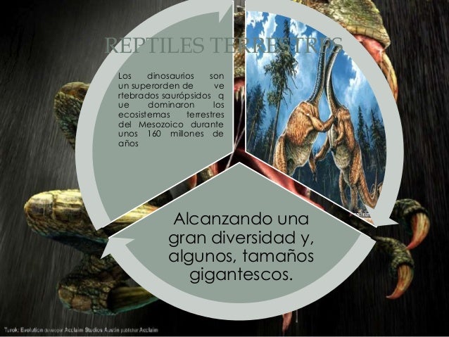 Animales Primitivos