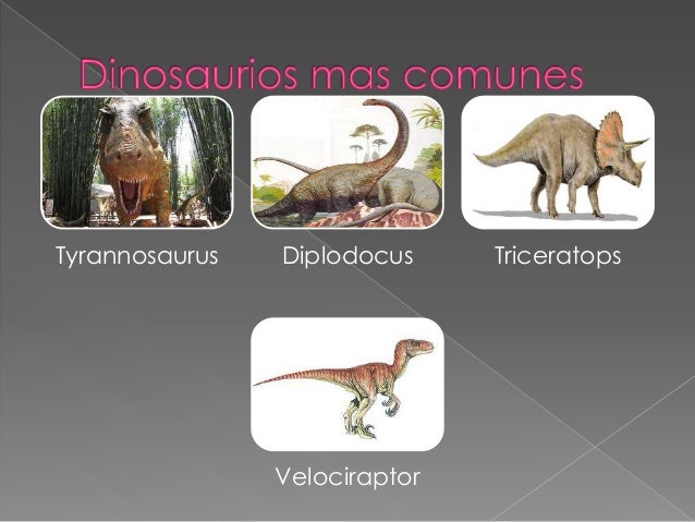 Animales Primitivos
