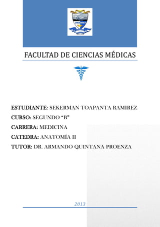 FACULTAD DE CIENCIAS MEDICAS
2013
ESTUDIANTE: SEKERMAN TOAPANTA RAMIREZ
CURSO: SEGUNDO “B”
CARRERA: MEDICINA
CATEDRA: ANATOMÍA II
TUTOR: DR. ARMANDO QUINTANA PROENZA
 
