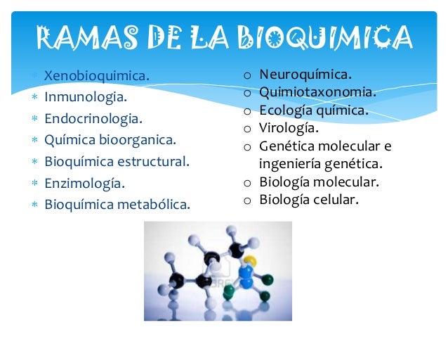 DEBER DE BIOQUIMICA