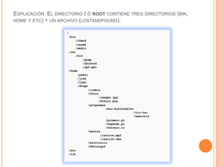 Explicación: El directorio / ó root contiene tres directorios (bin, home y etc) y un archivo (lostandfound).