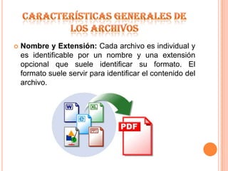 Características generales de los archivosNombre y Extensión: Cada archivo es individual y es identificable por un nombre y una extensión opcional que suele identificar su formato. El formato suele servir para identificar el contenido del archivo.