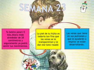 Tu bebito pesa1/2
kilo.Ahora mide
alrededor de 28
centímetros y
seguramente ya podrá
sentir tus movimientos.
La piel de tu hijito es
todavía tan fina que
las venas se le
transparentan y le
dan ese tono rosado.
Las venas que tiene
en sus pulmones y
que le ayudarán a
respirar se están
desarrollando.
 