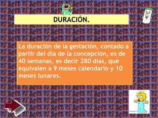 DURACIÓN.
La duración de la gestación, contado a
partir del día de la concepción, es de
40 semanas, es decir 280 días, que
equivalen a 9 meses calendario y 10
meses lunares.
 