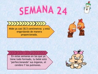 Mide ya casi 30,5 centímetros y está
engordando de manera
proporcionada.
En estas semanas en las que ya
tiene todo formado, tu bebé está
"perfeccionando" sus órganos, el
cerebro Y los pulmones.
 