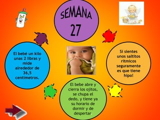 Si sientes
unos saltitos
ritmicos
seguramente
es que tiene
hipo!
El bebe abre y
cierra los ojitos,
se chupa el
dedo, y tiene ya
su horario de
dormir y de
despertar.
El bebé un kilo
unas 2 libras y
mide
alrededor de
36,5
centímetros.
 