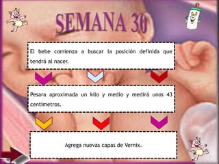 El bebe comienza a buscar la posición definida que
tendrá al nacer.
Pesara aproximada un kilo y medio y medirá unos 43
centímetros.
Agrega nuevas capas de Vernix.
 