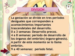 DIVISIÓN
La gestación se divide en tres periodos
desiguales que corresponden a
acontecimientos importantes
trascendetales del desarrollo.
0 a 3 semanas: Desarrollo precoz.
4 a 8 semanas: periodo de desarrollo de
los órganos del embrión( órgano-génesis).
A partir de este momento se lo llama
embrión.
9 a 40 semanas: periodo fetal.
 