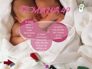 El bebé
continuará
creciendo
cada día eso
incluye las
uñitas y el
cabello
La parte
más grande
del cuerpo
es su
cabeza.
El bebé
pesa 7
libras y
mide
50centime
tros
 