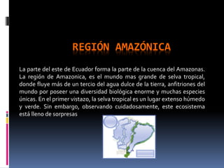 REGIÓN AMAZÓNICA
La parte del este de Ecuador forma la parte de la cuenca del Amazonas.
La región de Amazonica, es el mundo mas grande de selva tropical,
donde fluye más de un tercio del agua dulce de la tierra, anfitriones del
mundo por poseer una diversidad biológica enorme y muchas especies
únicas. En el primer vistazo, la selva tropical es un lugar extenso húmedo
y verde. Sin embargo, observando cuidadosamente, este ecosistema
está lleno de sorpresas
 