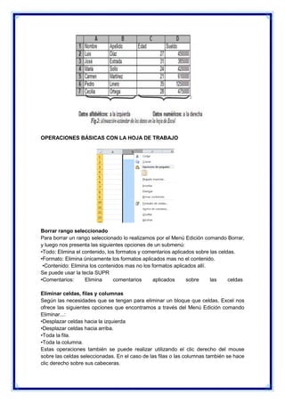 OPERACIONES BÁSICAS CON LA HOJA DE TRABAJO

Borrar rango seleccionado
Para borrar un rango seleccionado lo realizamos por el Menú Edición comando Borrar,
y luego nos presenta las siguientes opciones de un submenú:
•Todo: Elimina el contenido, los formatos y comentarios aplicados sobre las celdas.
•Formato: Elimina únicamente los formatos aplicados mas no el contenido.
•Contenido: Elimina los contenidos mas no los formatos aplicados allí.
Se puede usar la tecla SUPR
•Comentarios:
Elimina
comentarios
aplicados
sobre
las
celdas
Eliminar celdas, filas y columnas
Según las necesidades que se tengan para eliminar un bloque que celdas, Excel nos
ofrece las siguientes opciones que encontramos a través del Menú Edición comando
Eliminar...:
•Desplazar celdas hacia la izquierda
•Desplazar celdas hacia arriba.
•Toda la fila.
•Toda la columna.
Estas operaciones también se puede realizar utilizando el clic derecho del mouse
sobre las celdas seleccionadas. En el caso de las filas o las columnas también se hace
clic derecho sobre sus cabeceras.

 