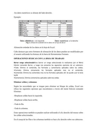 -los datos numéricos se alinean del lado derecho.
Ejemplo:

Alineación estándar de los datos en la hoja de Excel.
Cabe destacar que estos formatos de alineación de los datos pueden ser modificados por
el usuario utilizando los botones de la barra de Herramientas Formato.
OPERACIONES BÁSICAS CON LA HOJA DE TRABAJO
Borrar rango seleccionadoPara borrar un rango seleccionado lo realizamos por el Menú
Edición comando Borrar, y luego nos presenta las siguientes opciones de un submenú:
•Todo: Elimina el contenido, los formatos y comentarios aplicados sobre las celdas.
•Formato: Elimina únicamente los formatos aplicados mas no el contenido.
•Contenido: Elimina los contenidos mas no los formatos aplicados allí. Se puede usar la tecla
SUPR
•Comentarios: Elimina comentarios aplicados sobre las celdas

Eliminar celdas y columnas
Según las necesidades que se tengan para eliminar un bloque de celdas, Excel nos
ofrece las siguientes opciones que encontramos a través del menú Edicion comando
Eliminar:
-Desplazar celdas hacia la izquierda.
-Desplazar celdas hacia arriba.
-Toda la fila.
-Toda la columna.
Estas operaciones también se pueden realizar utilizando el clic derecho del mouse sobre
las celdas seleccionadas.
En el casop de las filas o las columnas también se hace clic derecho sobre sus cabeceras.

 