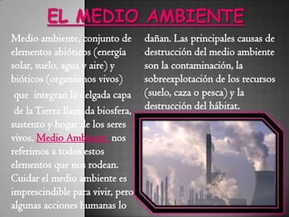 Medio ambiente, conjunto de
elementos abióticos (energía
solar, suelo, agua y aire) y
bióticos (organismos vivos)
que integran la delgada capa
de laTierra llamada biosfera,
sustento y hogar de los seres
vivos. Medio Ambiente nos
referimos a todos estos
elementos que nos rodean.
Cuidar el medio ambiente es
imprescindible para vivir, pero
algunas acciones humanas lo
dañan. Las principales causas de
destrucción del medio ambiente
son la contaminación, la
sobreexplotación de los recursos
(suelo, caza o pesca) y la
destrucción del hábitat.
 