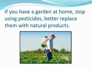 If you have a garden at home, stop
using pesticides, better replace
them with natural products.
 