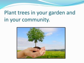 Plant trees in your garden and
in your community.
 