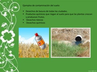 Ejemplos de contaminación del suelo:
 Desechos de basura de todas las ciudades.
 Productos químicos que riegan al suelo para que las plantas crezcan
y produzcan frutos.
 Desechos tóxicos
 Desechos químicos
 