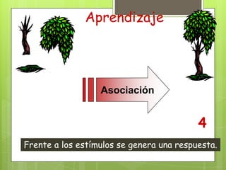 Teorías Conductistas del AprendizajeCondicionamiento OperanteBurrhusSkinnerLey causa efecto, conducta recompensada.Es la forma de aprendizaje en donde se utilizan las conductas voluntarias.Tiene que ver con el desarrollo de nuevas conductas en función de sus consecuencias, y no con la asociación entre estímulos y conductas reflejas existentes Hoy se prefiere el término de Condicionamiento InstrumentalMoldeamiento: Las recompensas guían la conducta natural de un animal hacia la conducta deseada.Tipos de condicionamiento operante Reforzador: Consolidar el comportamiento mediante el aumento de la frecuencia de la conducta  deseada.Castigo: Lo que disminuye la frecuencia de la conducta siguiente. Consecuencias negativas debilitan la conducta indeseada.