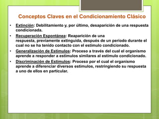 Conceptos Claves en el Condicionamiento ClásicoExtinción: Debilitamiento y, por último, desaparición de una respuesta condicionada.