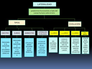 LATERALIDADpredominio funcional de un lado del cuerpo humano sobre el otroTIPOSEVOLUCIÓNDIESTROZURDOAMBIESTROLATERALIDAD CRUZADA0-3 AÑOS4-5 AÑOS6-7 AÑOS8-9 AÑOSNO DISTINGUE ENTRE LOS DOS LADOSCONOCE    QUE LAS EXTREMIDADES  SE ENCUENTRAN  A LOS LADOS CONOCE QUE SUS MIEMBROS SE ENCUENTRAN EN LADOS OPUESTOSCONCIENCIA PLENA DEL LADO DERECHO Y IZQUIERDO PREDOMINA  EL EMISFERRIO IZQUIERDO Y LA MANO DERECHAPREDOMINA  EL EMISFERRIO IDERECHO Y LA MANO IZQUIERDAUTILIZA LA MANO IZQUIERDA Y LA MANO DERECHAno tiene el predominio de sus funciones sobre el mismo lado del cuerpo