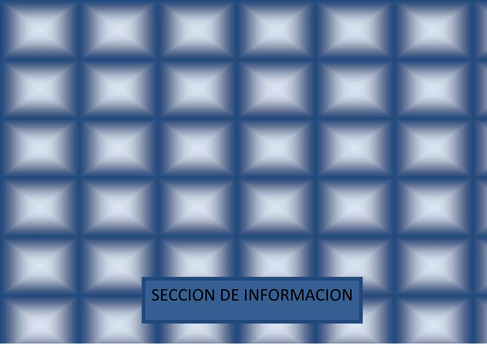 SECCION DE INFORMACION
 