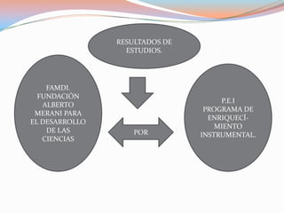 RESULTADOS DE ESTUDIOS.FAMDI.FUNDACIÓN ALBERTO MERANI PARA EL DESARROLLO DE LAS CIENCIAS P.E.IPROGRAMA DE ENRIQUECÍ-MIENTO INSTRUMENTAL.POR