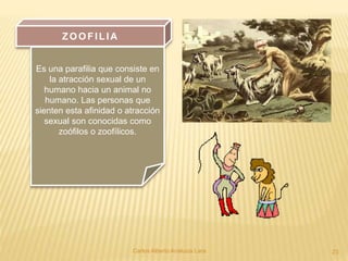 Carlos Alberto Analuiza Lara. 23
ZOOFILIA
Es una parafilia que consiste en
la atracción sexual de un
humano hacia un animal no
humano. Las personas que
sienten esta afinidad o atracción
sexual son conocidas como
zoófilos o zoofílicos.
 