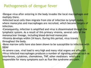 Pathogenesis of dengue fever
•Dengue virus after entering in the body invades the local macrophages and
multiply there.
•Infected local cells then migrate from site of infection to lymph nodes,
where monocytes and macrophages are recruited, which become targets of
infection.
•Consequently, infection is amplified and virus is disseminated through the
lymphatic system. As a result of this primary viremia, several cells of the
mononuclear lineage, including blood-derived monocytes
•Viremia develops within 24 hours. During this period, virus travels
throughout the body.
•Bone marrow cells have also been shown to be susceptible to infection with
DENV
•In severe case, viral load is very high and many vital organs are affected.
•Virus infected macrophages produces a number of signaling proteins such as
interferons, cytokines, chemokines, TNF, other mediators which are
responsible for many symptoms such as flue like syndrome and pain.
 
