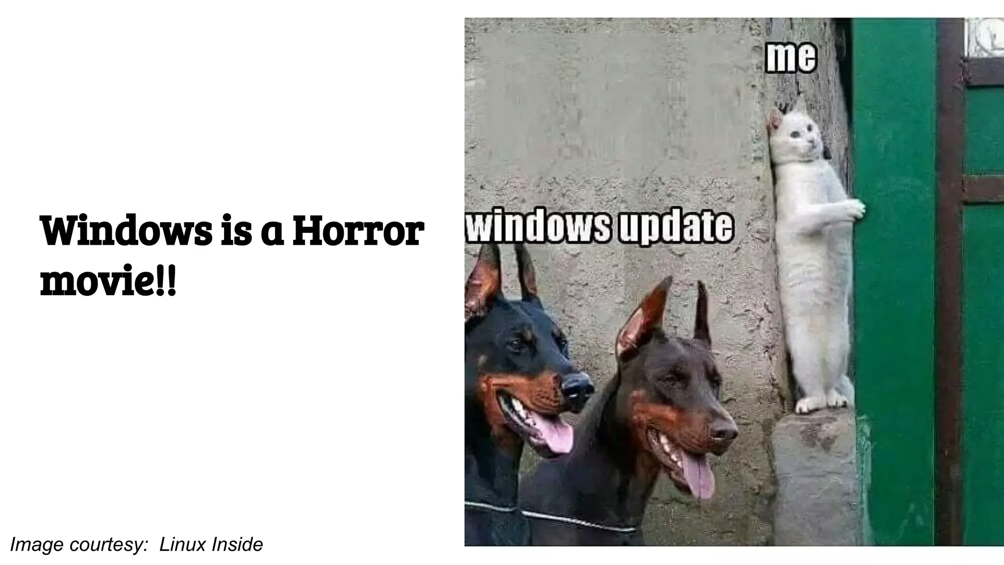 Image courtesy: Linux Inside
Windows is a Horror
movie!!
 