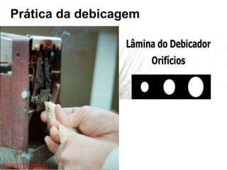 FORTES (2013)
Prática da debicagem
 