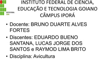 INSTITUTO FEDERAL DE CIÊNCIA,
EDUCAÇÃO E TECNOLOGIA GOIANO
CÂMPUS IPORÁ
• Docente: BRUNO DUARTE ALVES
FORTES
• Discentes: EDUARDO BUENO
SANTANA, LUCAS JORGE DOS
SANTOS e RAYMOD LIMA BRITO
• Disciplina: Avicultura
 