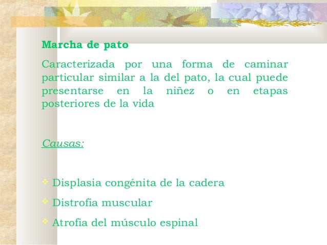 Debilidad Muscular