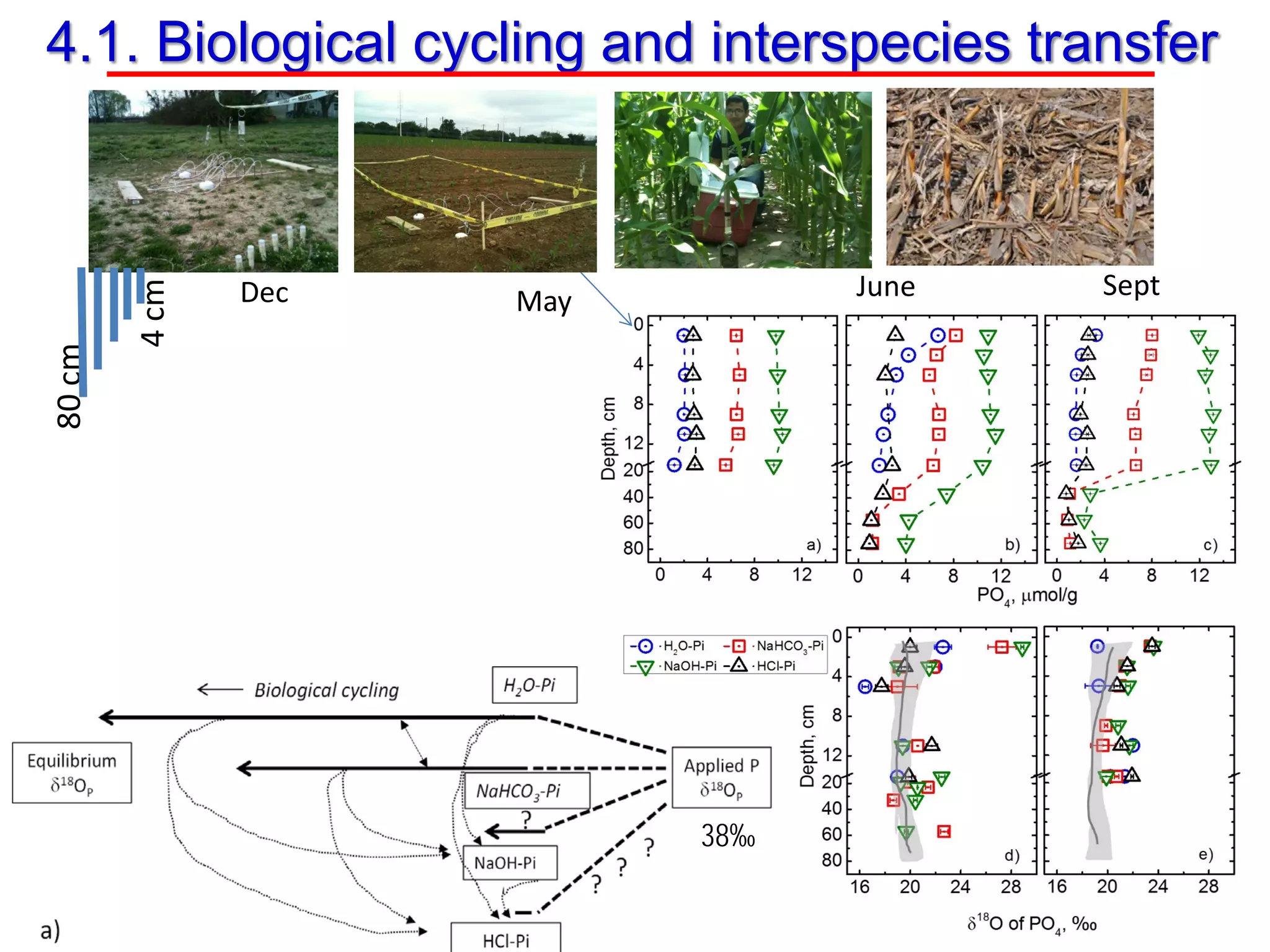 Dec May June Sept
80cm
4cm
38‰
4.1. Biological cycling and interspecies transfer
 