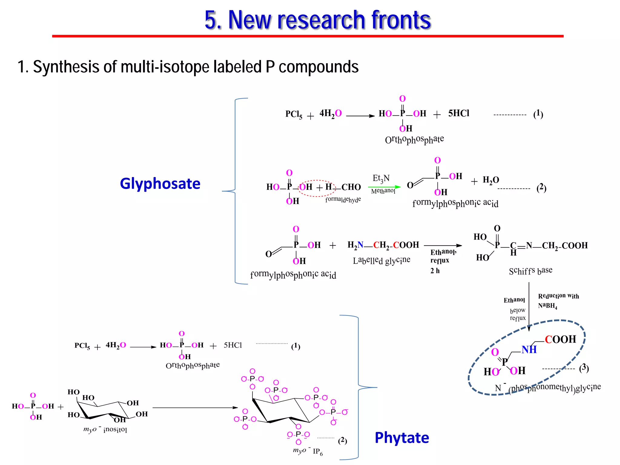 5. New research fronts
H2N CH2 COOH N CH2 COOHC
H
P
O
HO
HO
Schiffs base
Reduction with
NaBH4
N
-
(phosphonomethyl)glycine
Ethanol,
reflux
2 h
Synthesis of Isotope labelled ( C, N and O) glyphosate
Ethanol
Labelled glycine
below
reflux
PCl5 4H2O 5HClP OHHO
OH
O
P OHHO
OH
O
CHO
NH
COOH
P
O
HO OH
Orthophosphate
P OH
OH
O
O
formylphosphonic acid
P OH
OH
O
O
formylphosphonic acid
H
formaldehyde
(1)
(2)
(3)
Et3N
Methanol
H2O
1. Synthesis of multi-isotope labeled P compounds
PCl5 4H2O 5HClP OHHO
OH
O
P OHHO
OH
O
Orthophosphate
O P
O
O
O
O P
O
O
O
OP
O
O
O
O P
O
O
OO P
O
O
O
O P
O
O
O
myo -
IP6
......................
(1)
............
(2)
HO
HO
OH
OH
OH
HO
myo -
inositol
Glyphosate
Phytate
 