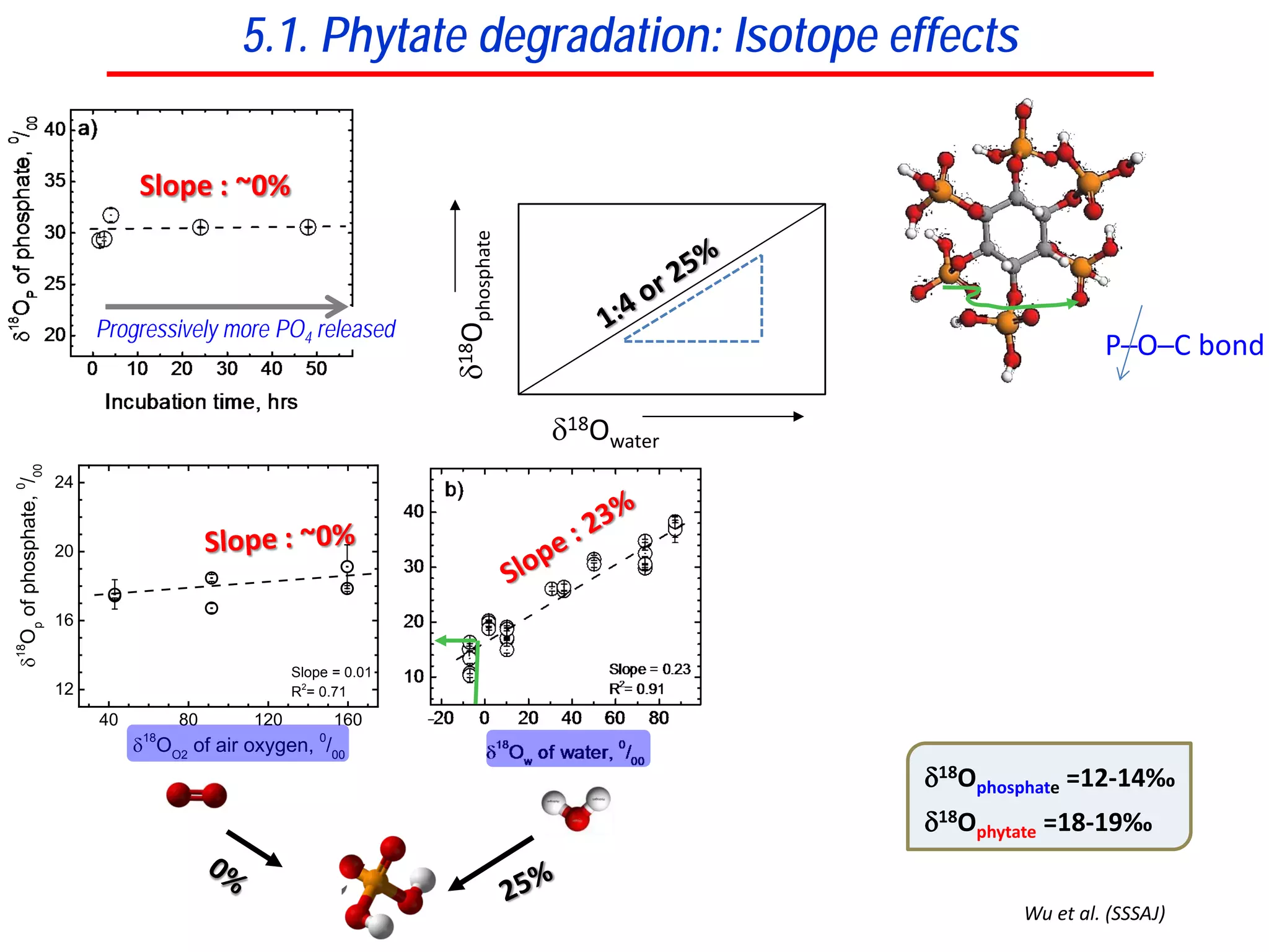 5.1. Phytate degradation: Isotope effects
40 80 120 160
12
16
20
24
Slope = 0.01
R2
= 0.71
δ18
Op
ofphosphate,0
/00
δ18
OO2
of air oxygen, 0
/00
Slope : ~0%
δ18Ophosphate =12-14‰
δ18Ophytate =18-19‰
Wu et al. (SSSAJ)
Progressively more PO4 released
δ18Owater =-6 to 0‰
P─O─C bond
δ18Owater
δ18Ophosphate
 