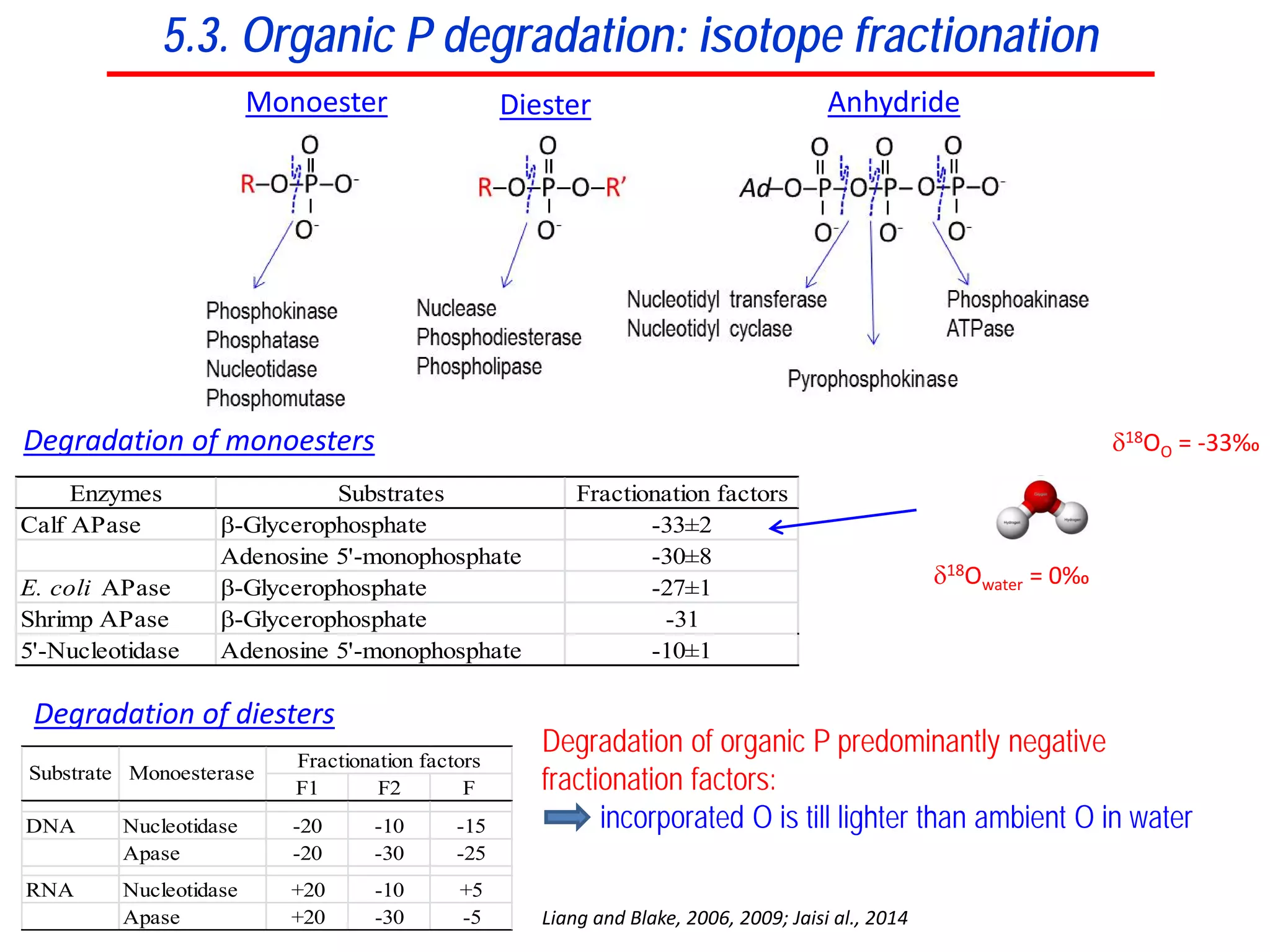 F1 F2 F
DNA Nucleotidase -20 -10 -15
Apase -20 -30 -25
RNA Nucleotidase +20 -10 +5
Apase +20 -30 -5
Substrate Monoesterase
Fractionation factors
Degradation of diesters
Liang and Blake, 2006, 2009; Jaisi al., 2014
Degradation of organic P predominantly negative
fractionation factors:
incorporated O is till lighter than ambient O in water
5.3. Organic P degradation: isotope fractionation
Monoester Diester Anhydride
δ18Owater = 0‰
δ18OO = -33‰
Enzymes Substrates Fractionation factors
Calf APase β-Glycerophosphate -33±2
Adenosine 5'-monophosphate -30±8
E. coli APase β-Glycerophosphate -27±1
Shrimp APase β-Glycerophosphate -31
5'-Nucleotidase Adenosine 5'-monophosphate -10±1
Degradation of monoesters
 