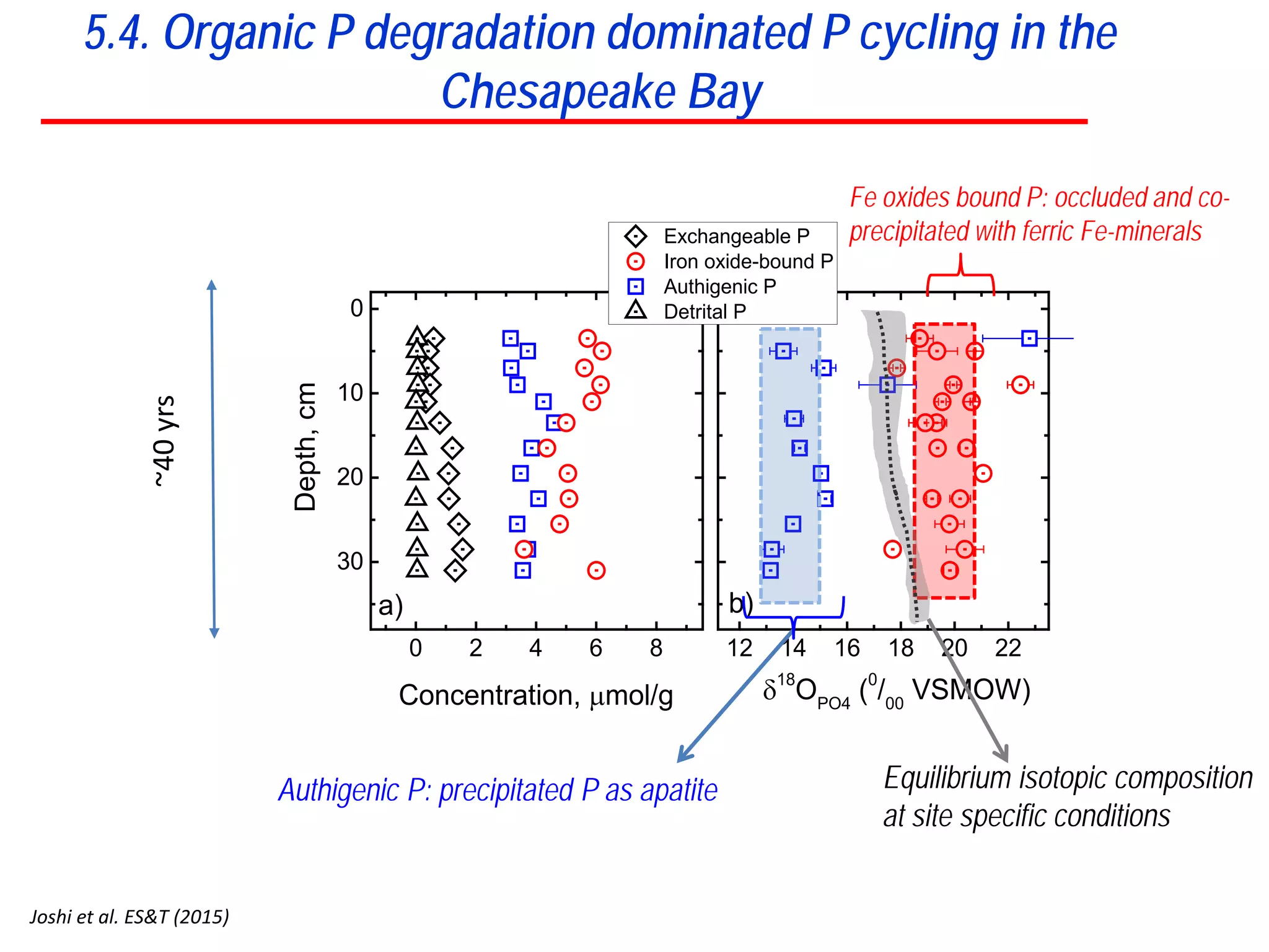 0 2 4 6 8
30
20
10
0
12 14 16 18 20 22
b)
Exchangeable P
Iron oxide-bound P
Authigenic P
Detrital PDepth,cm
Concentration, µmol/g
a)
δ18
OPO4
(0
/00
VSMOW)
Fe oxides bound P: occluded and co-
precipitated with ferric Fe-minerals
Authigenic P: precipitated P as apatite
~40yrs
Equilibrium isotopic composition
at site specific conditions
5.4. Organic P degradation dominated P cycling in the
Chesapeake Bay
Joshi et al. ES&T (2015)
 