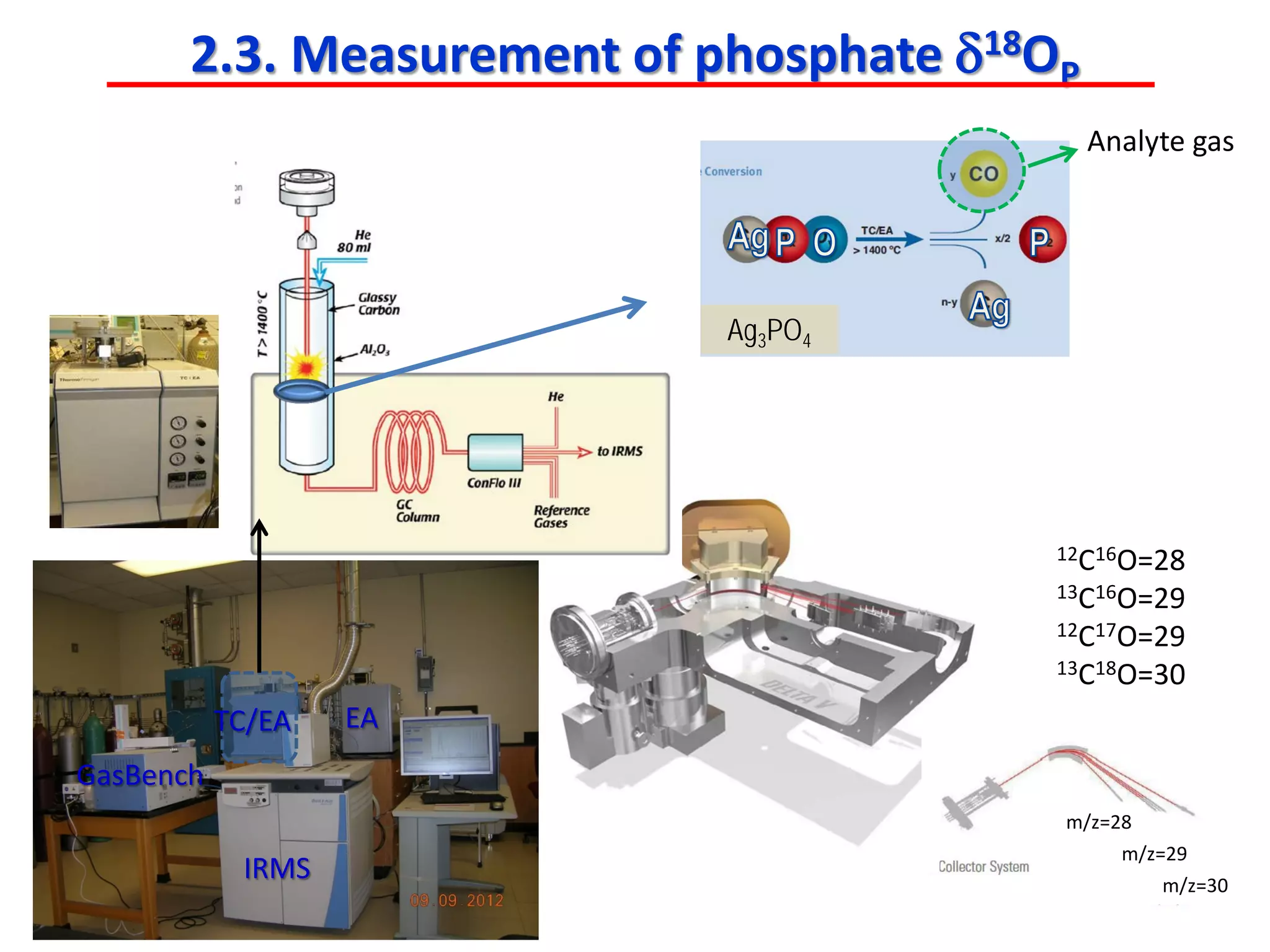 m/z=28
m/z=29
m/z=30
12C16O=28
13C16O=29
12C17O=29
13C18O=30
Ag3PO4
2.3. Measurement of phosphate δ18OP
Analyte gas
IRMS
TC/EA EA
GasBench
 