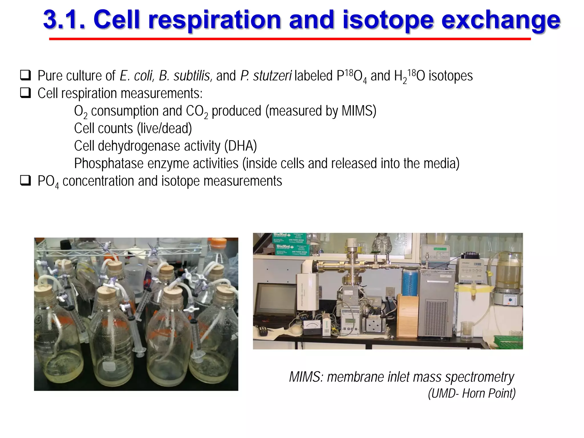 MIMS: membrane inlet mass spectrometry
(UMD- Horn Point)
 Pure culture of E. coli, B. subtilis, and P. stutzeri labeled P18O4 and H2
18O isotopes
 Cell respiration measurements:
O2 consumption and CO2 produced (measured by MIMS)
Cell counts (live/dead)
Cell dehydrogenase activity (DHA)
Phosphatase enzyme activities (inside cells and released into the media)
 PO4 concentration and isotope measurements
3.1. Cell respiration and isotope exchange
 