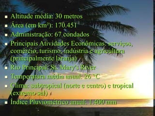  Altitude média: 30 metros
 Área (em km²): 170.451
 Administração: 67 condados
 Principais Atividades Econômicas: serviços,
comércio, turismo, indústria e agricultura
(principalmente laranja)
 Rio Principal: St. Mary's River
 Temperatura média anual: 26 °C
 Clima: subtropical (norte e centro) e tropical
(extremo sul)
 Índice Pluviométrico anual: 1.400 mm
 