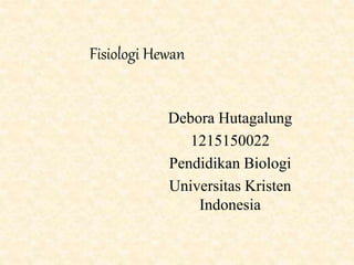 Fisiologi Hewan
Debora Hutagalung
1215150022
Pendidikan Biologi
Universitas Kristen
Indonesia
 