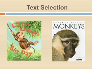 Text Selection
 
