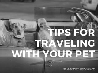 Tips For Traveling With Your Pet