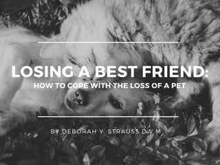 Losing Your Best Friend: How To Cope With The Loss Of A Pet