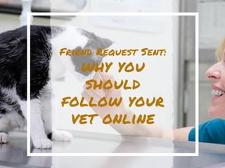 Friend Request Sent: Why You Should Follow Your Vet Online
